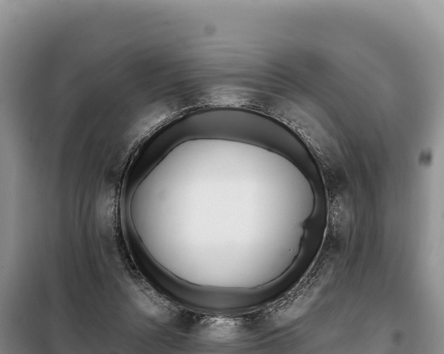 X0000099320352200805091046