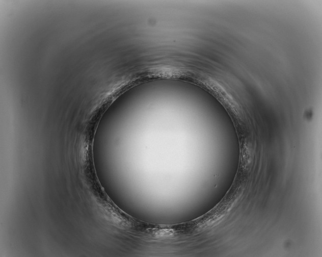 X0000099320355200805091047