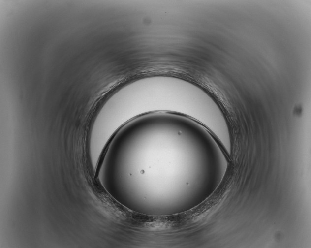 X0000099320356200805091047