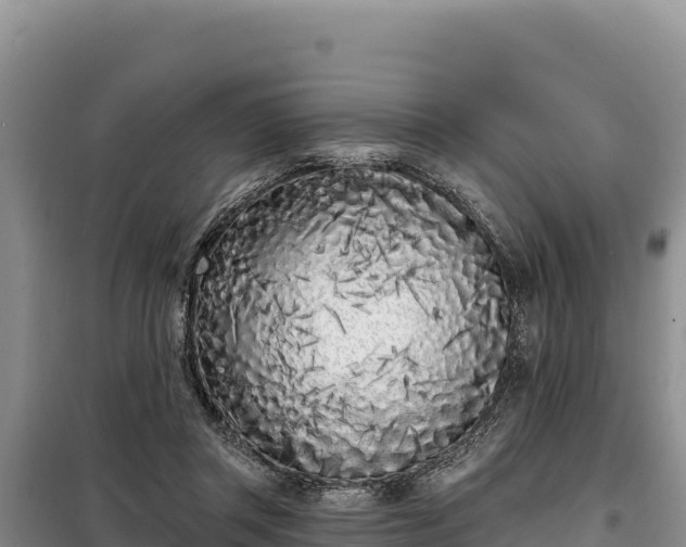 X0000099320357200805091047