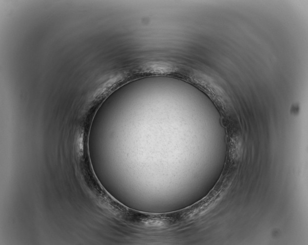 X0000099320358200805091047