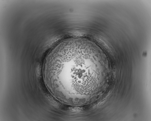 X0000099320359200805091047
