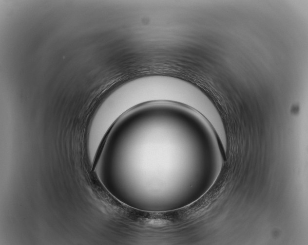 X0000099320360200805091047