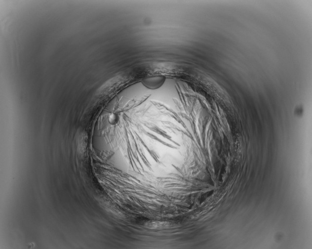 X0000099320361200805091047