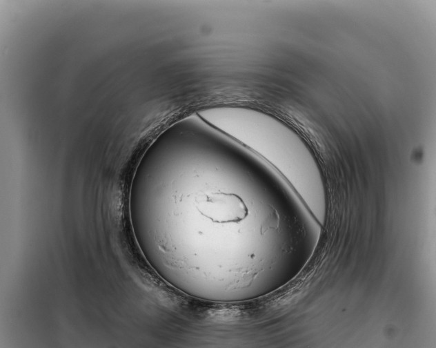 X0000099320362200805091047