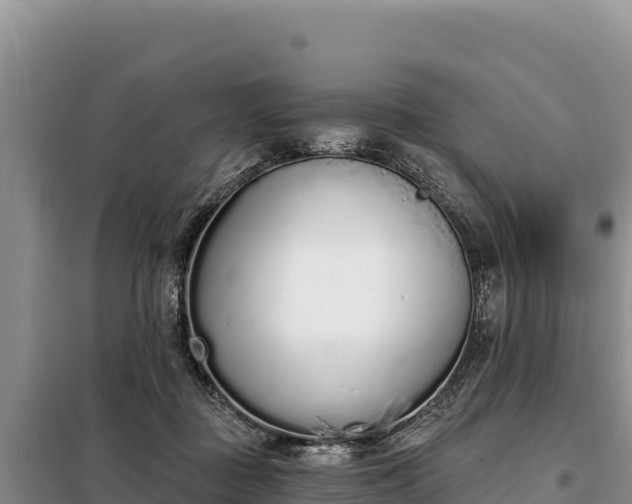 X0000099320363200805091047