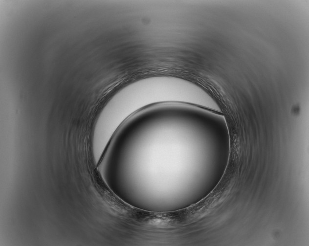 X0000099320364200805091047