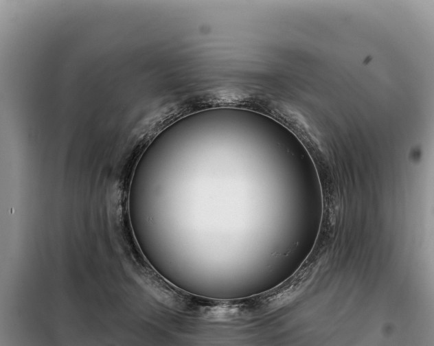 X0000099320366200805091047