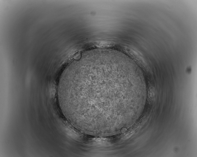 X0000099320367200805091047