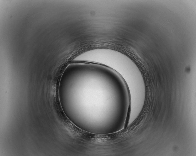 X0000099320368200805091047