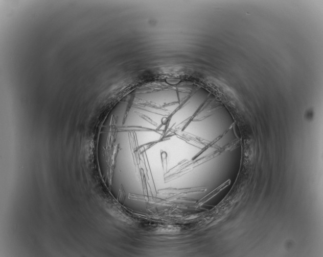 X0000099320369200805091047