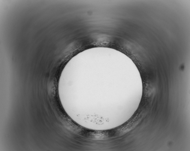 X0000099320370200805091047