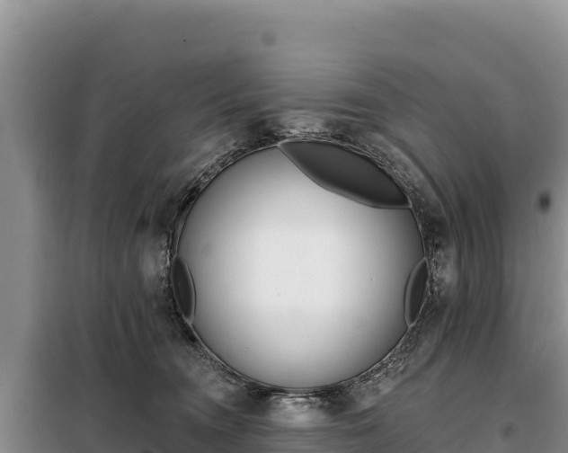 X0000099320372200805091047