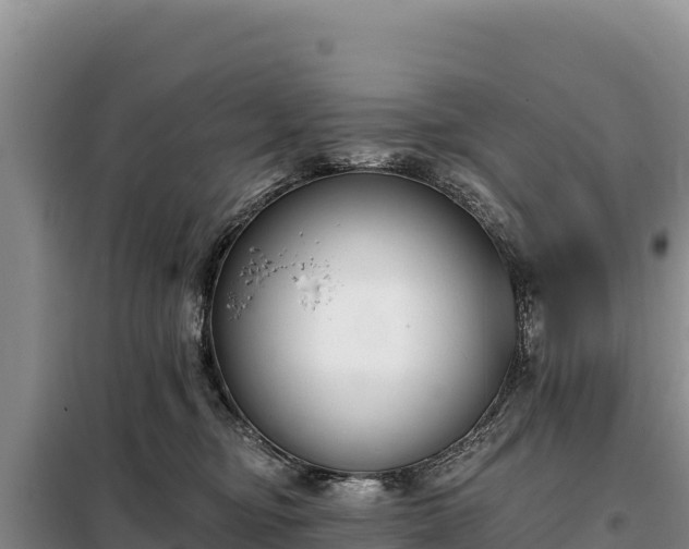 X0000099320374200805091047