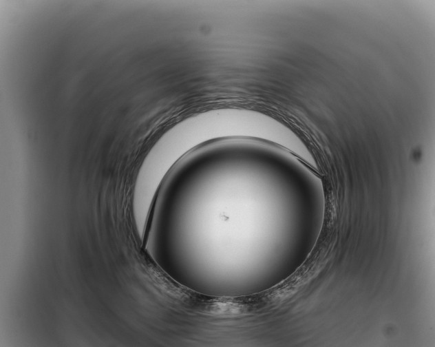 X0000099320376200805091047