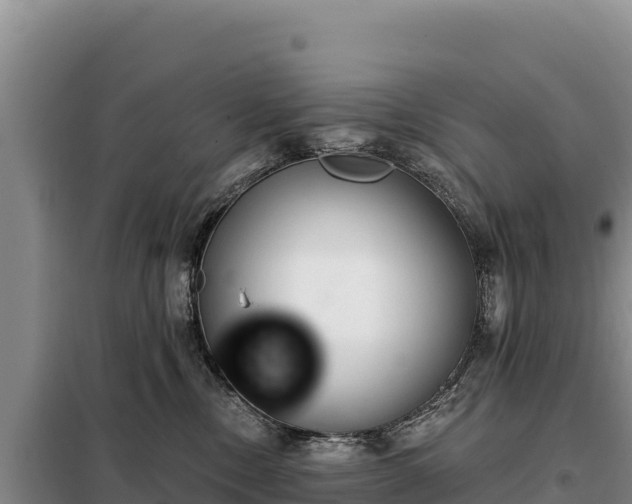 X0000099320378200805091047