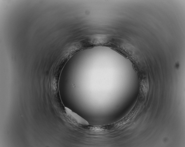 X0000099320380200805091047