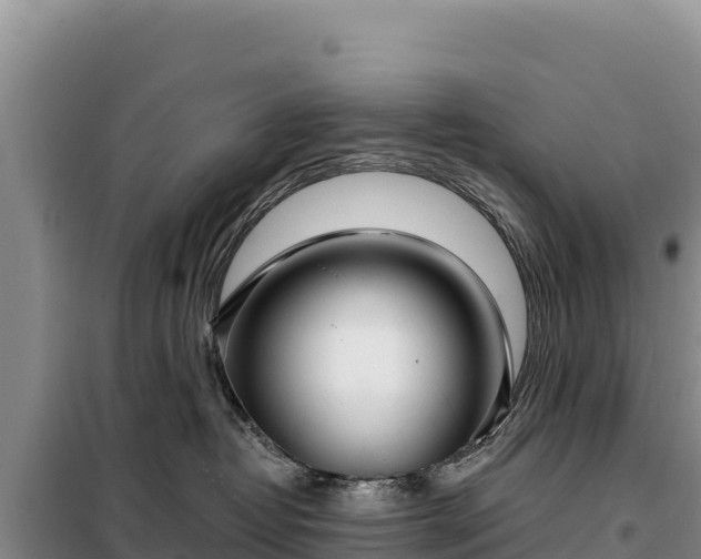 X0000099320382200805091047