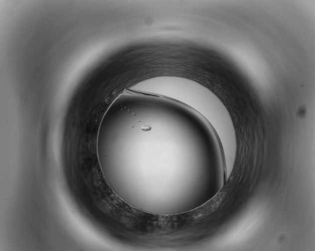 X0000099320383200805091047