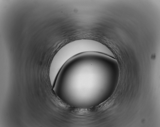 X0000099320384200805091047