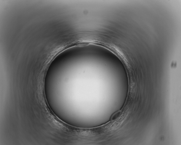 X0000099320385200805091046