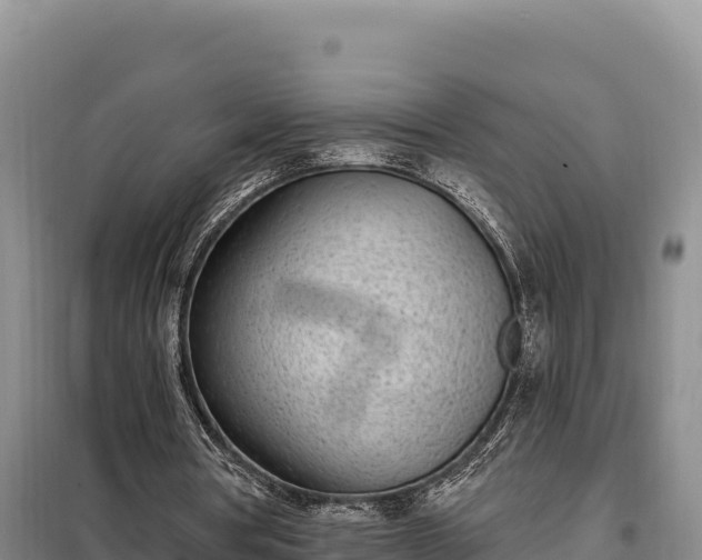 X0000099320386200805091046