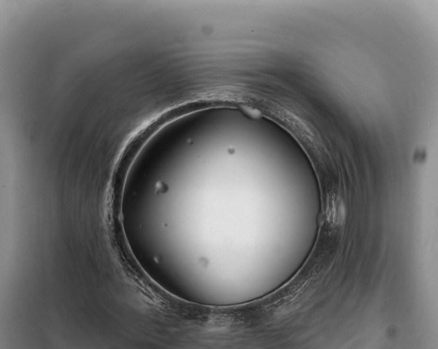 X0000099320388200805091046