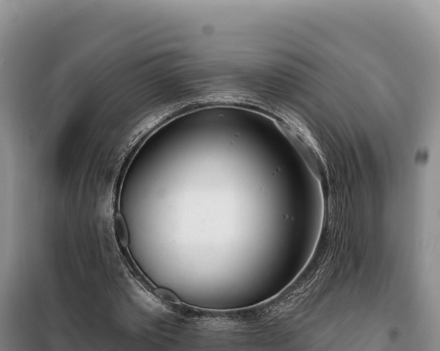 X0000099320389200805091046