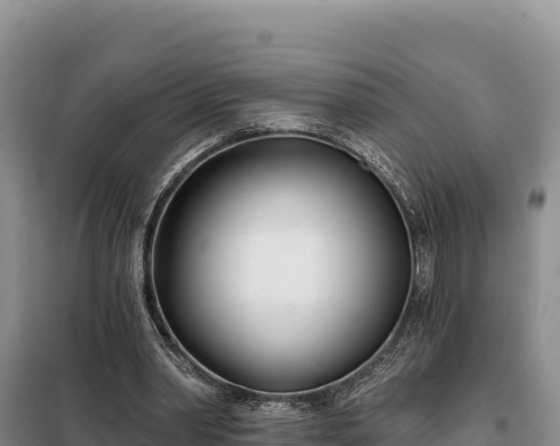 X0000099320390200805091046