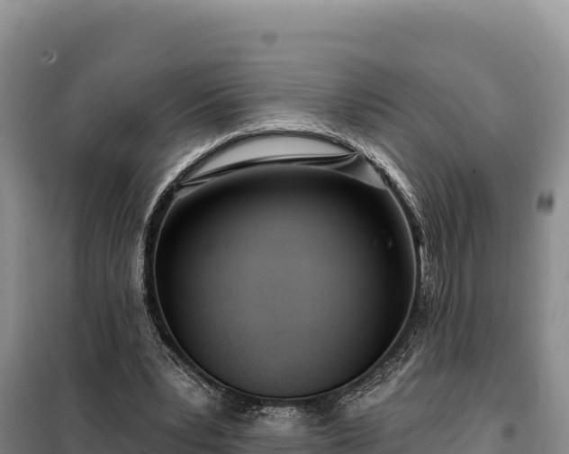 X0000099320391200805091046