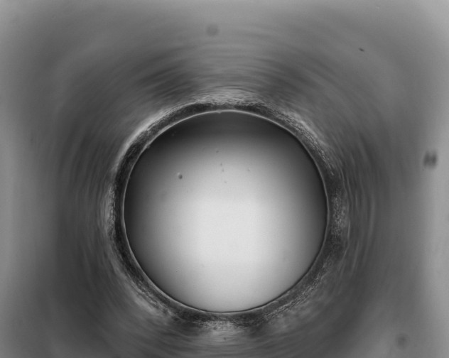 X0000099320392200805091046