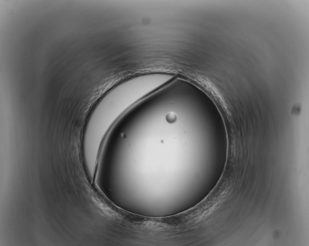 X0000099320393200805091046