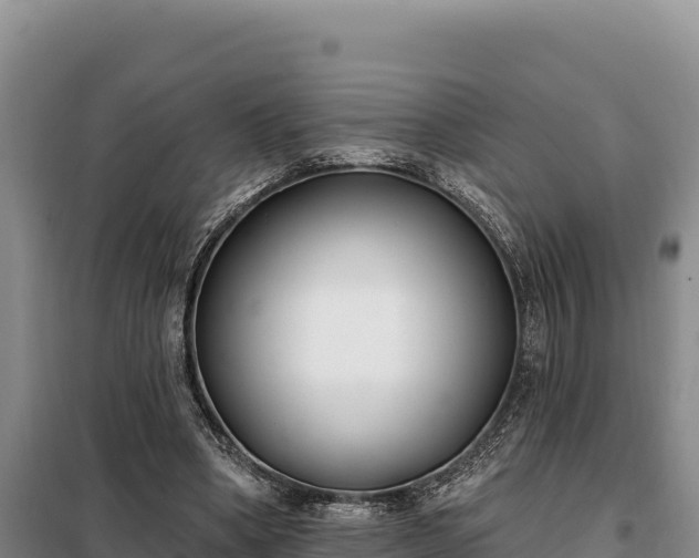 X0000099320394200805091046