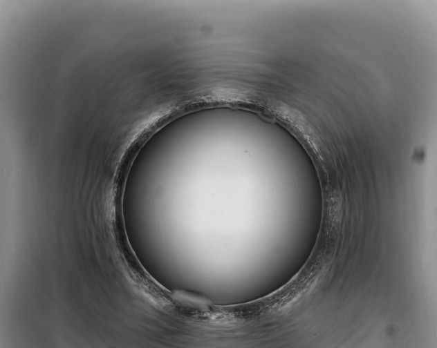 X0000099320395200805091046