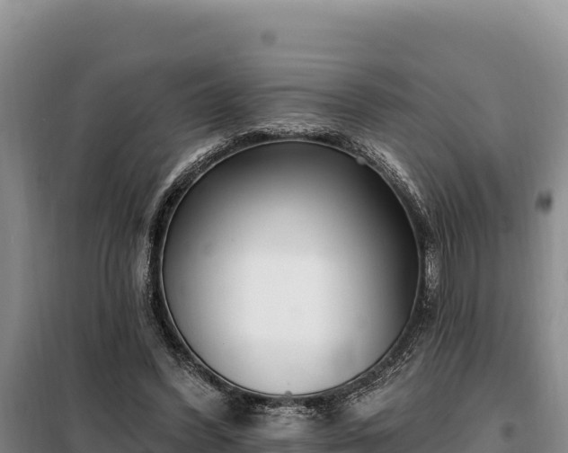 X0000099320396200805091046