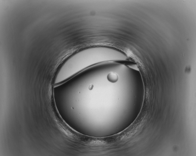 X0000099320397200805091046