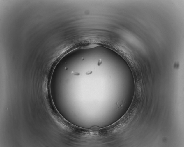 X0000099320398200805091046