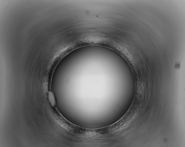 X0000099320399200805091046