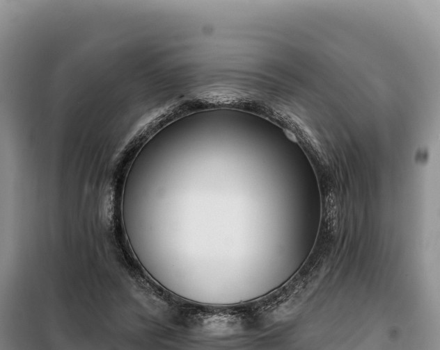 X0000099320400200805091046