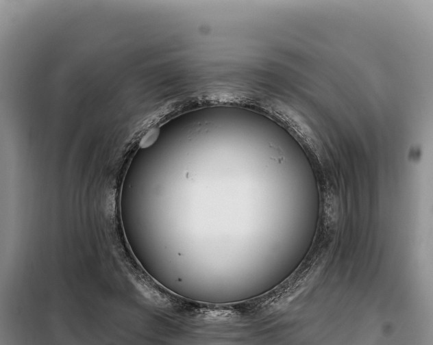 X0000099320401200805091046