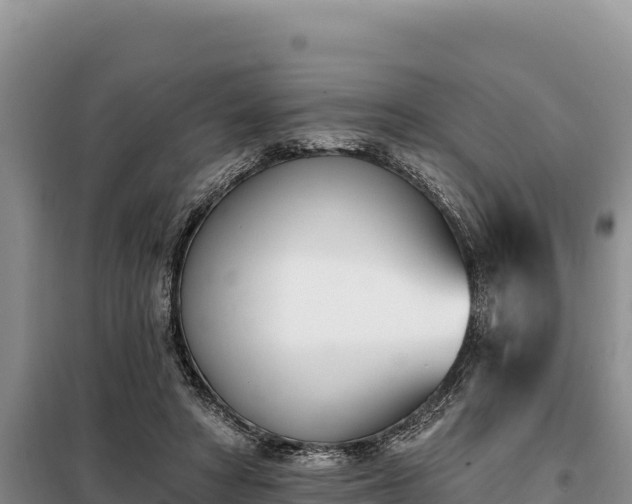 X0000099320402200805091046