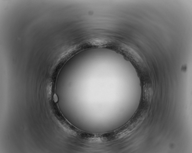 X0000099320404200805091046