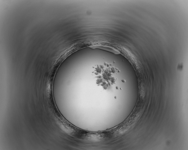 X0000099320405200805091046