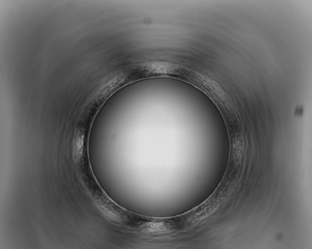 X0000099320406200805091046