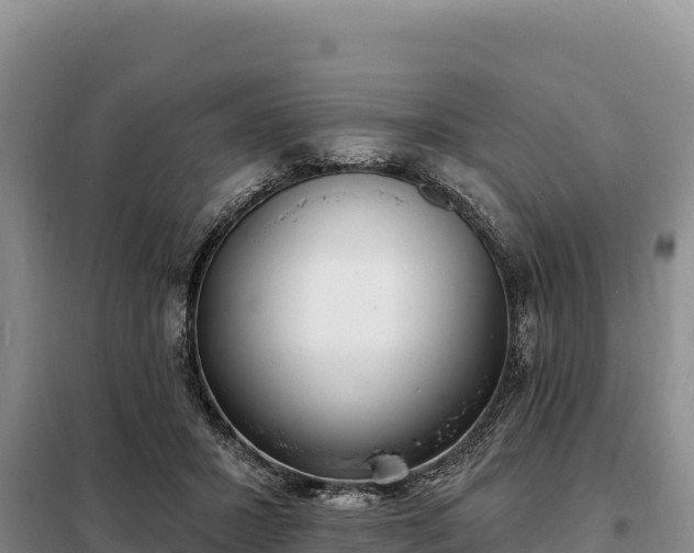 X0000099320407200805091046