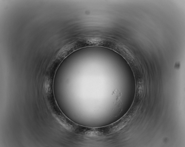 X0000099320408200805091046