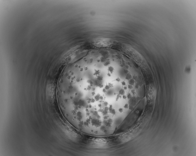 X0000099320409200805091046