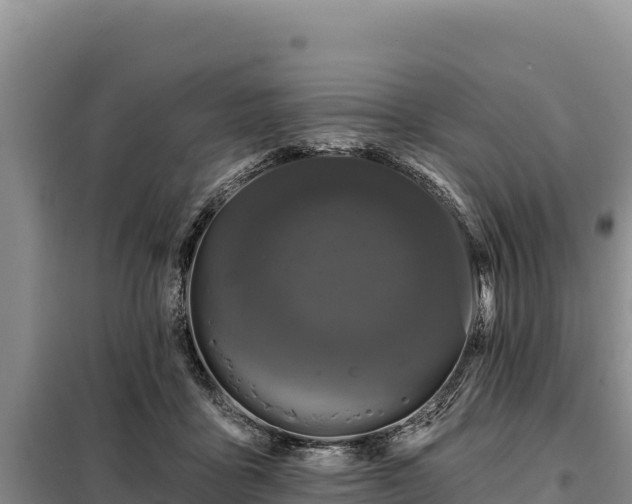 X0000099320411200805091046