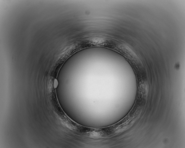 X0000099320412200805091046