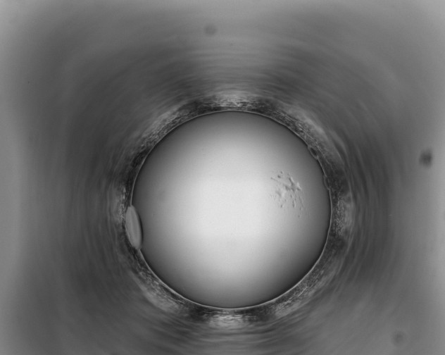 X0000099320413200805091046